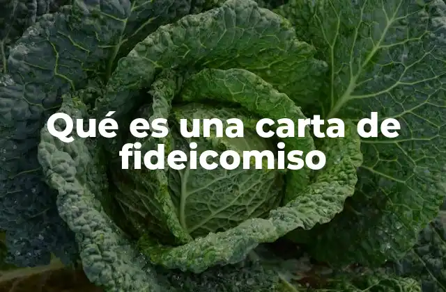 Qué es una Carta de Fideicomiso