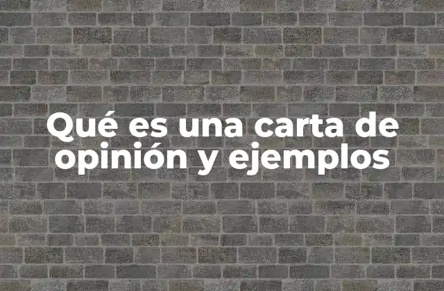 Qué es una Carta de Opinión y Ejemplos