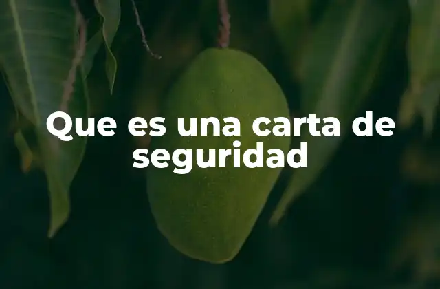Que es una Carta de Seguridad