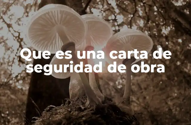 Que es una Carta de Seguridad de Obra