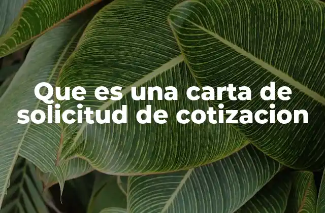 Que es una Carta de Solicitud de Cotizacion