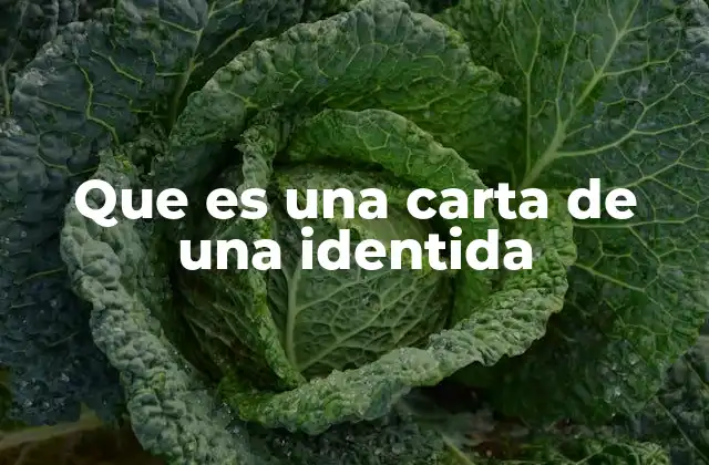 Que es una Carta de una Identida