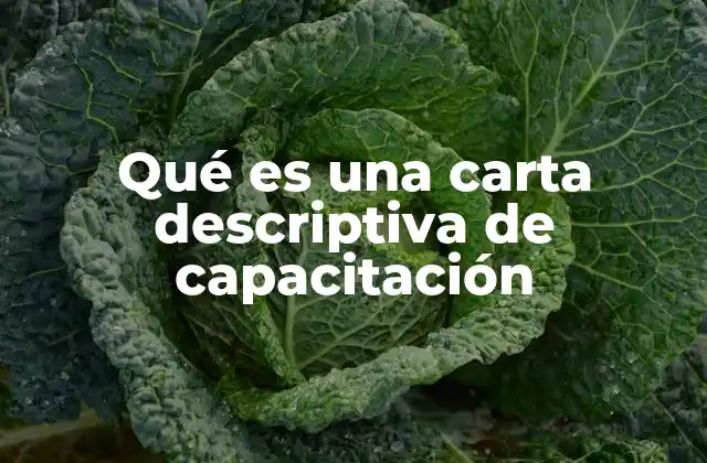 Qué es una Carta Descriptiva de Capacitación