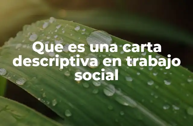 Que es una Carta Descriptiva en Trabajo Social