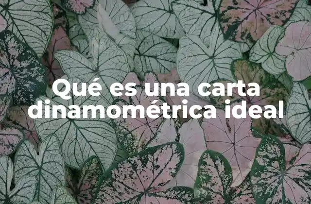 Qué es una Carta Dinamométrica Ideal
