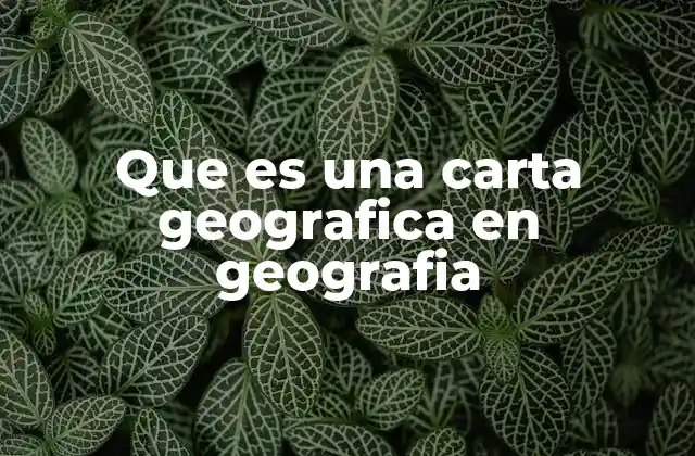Que es una Carta Geografica en Geografia