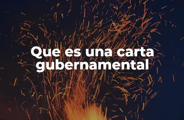 Que es una Carta Gubernamental