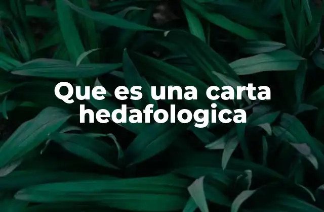 Que es una Carta Hedafologica