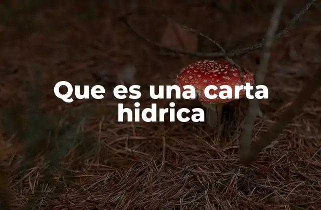 Que es una Carta Hidrica