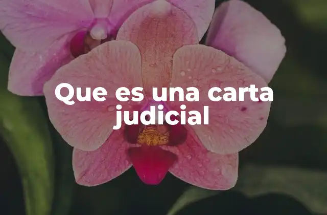 Que es una Carta Judicial