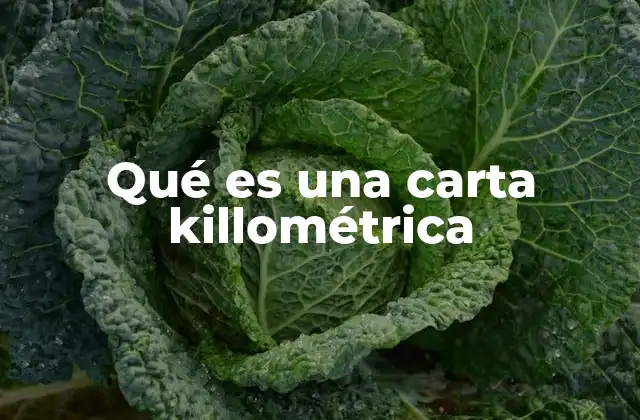 Qué es una Carta Killométrica