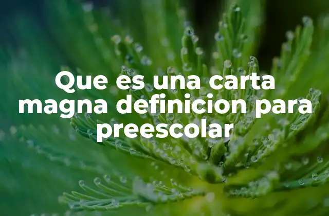 Que es una Carta Magna Definicion para Preescolar