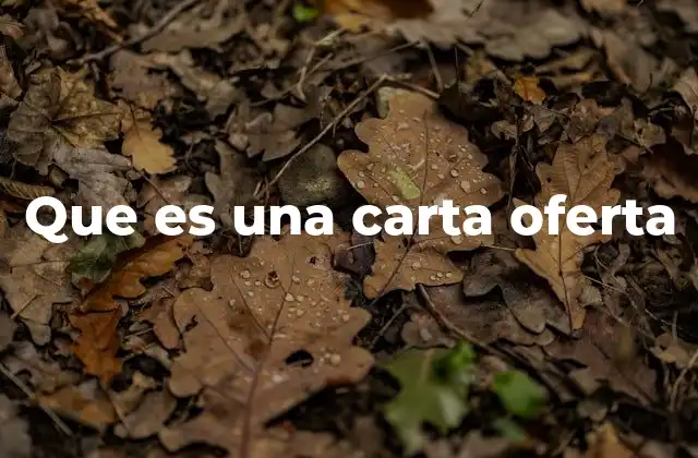Que es una Carta Oferta