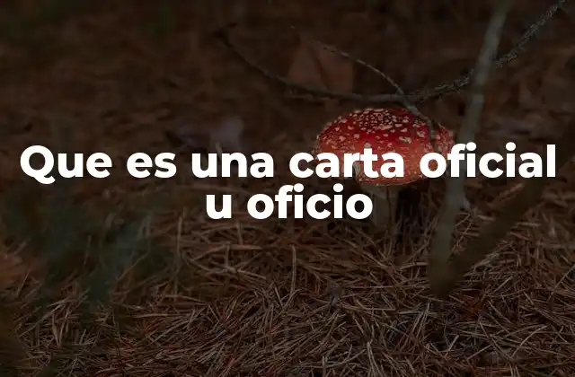 Que es una Carta Oficial u Oficio