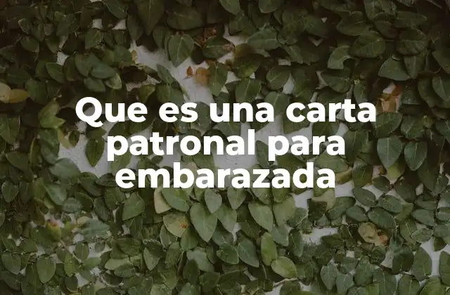 Que es una Carta Patronal para Embarazada