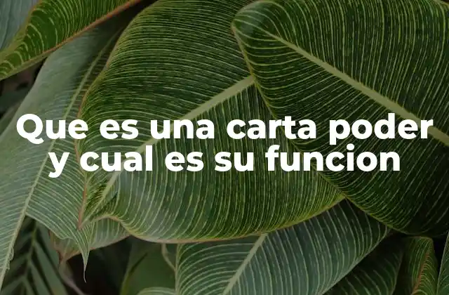 El papel de la representación legal en la vida cotidiana