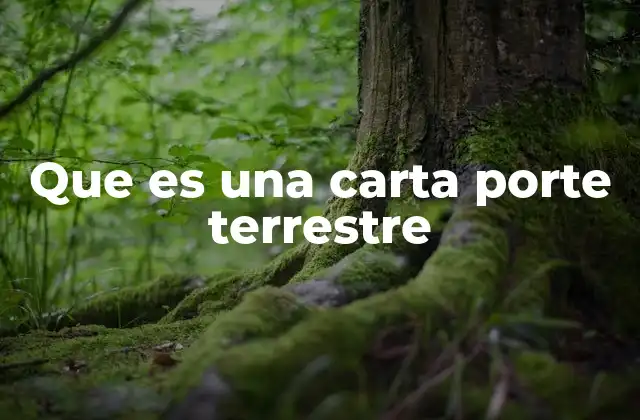 Que es una Carta Porte Terrestre