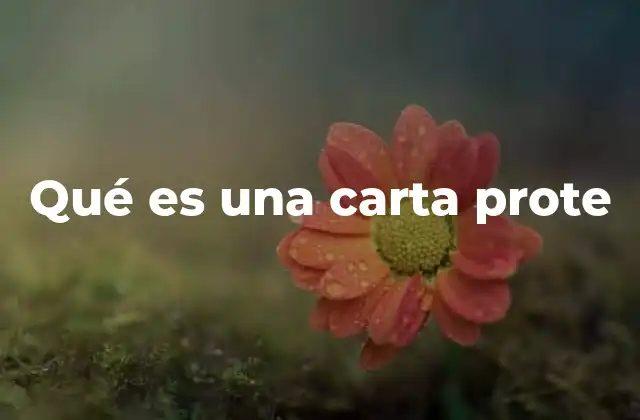 El papel de la carta prote en el derecho administrativo