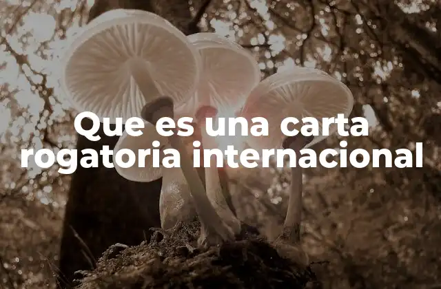 Que es una Carta Rogatoria Internacional