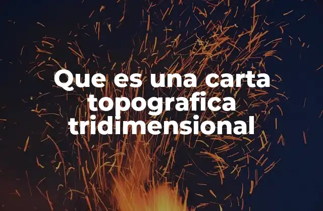 Que es una Carta Topografica Tridimensional
