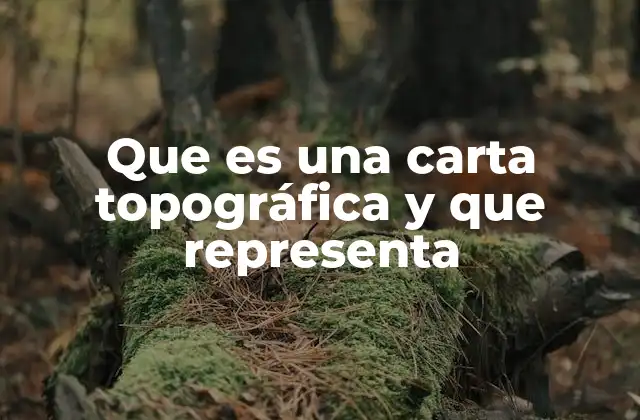 Que es una Carta Topográfica y que Representa