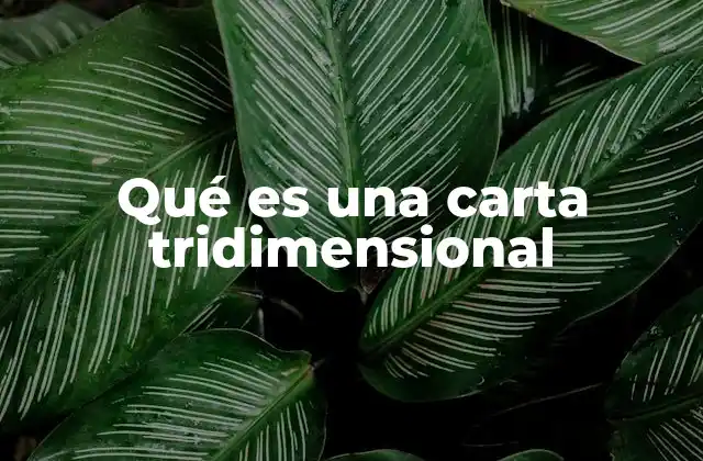 Qué es una Carta Tridimensional