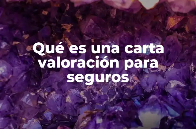 Qué es una Carta Valoración para Seguros