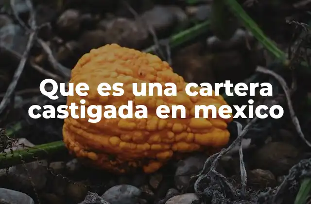 Que es una Cartera Castigada en Mexico