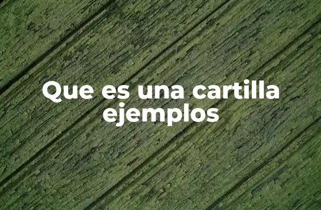 Que es una Cartilla Ejemplos