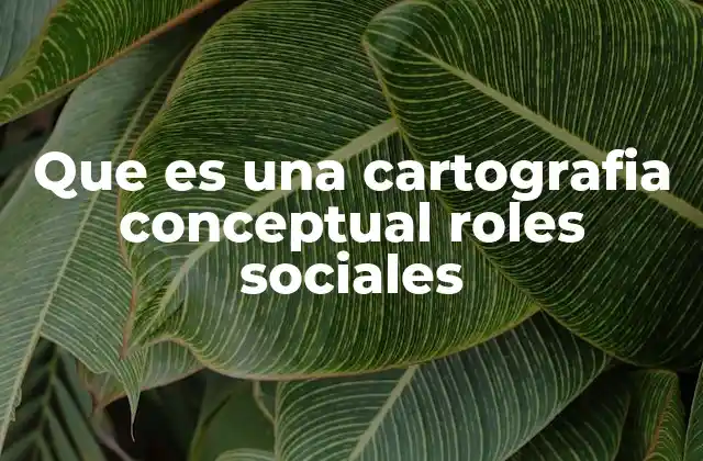 Que es una Cartografia Conceptual Roles Sociales