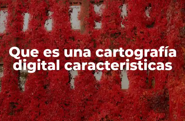 Que es una Cartografía Digital Caracteristicas