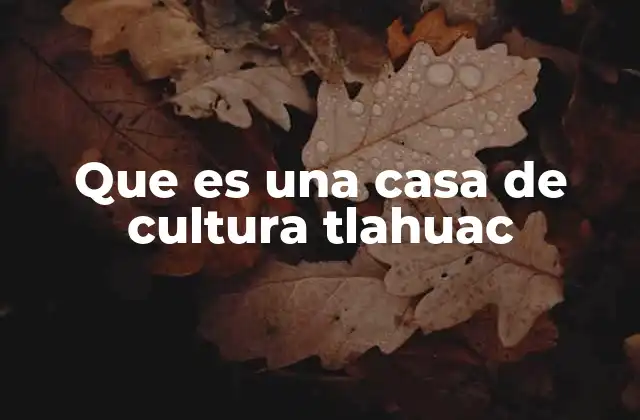 Que es una Casa de Cultura Tlahuac