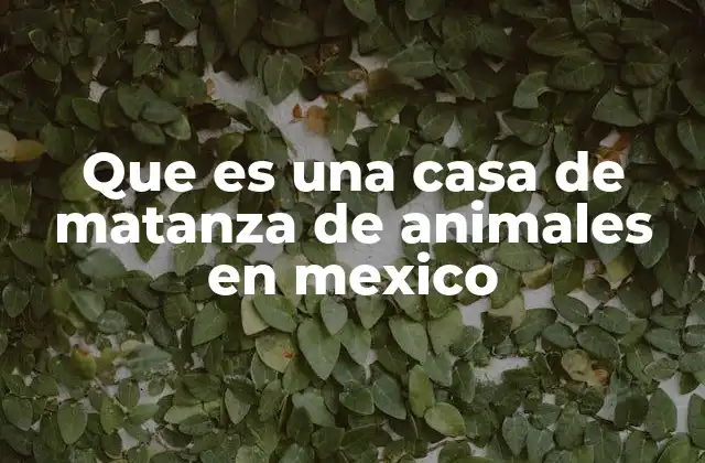 Que es una Casa de Matanza de Animales en Mexico