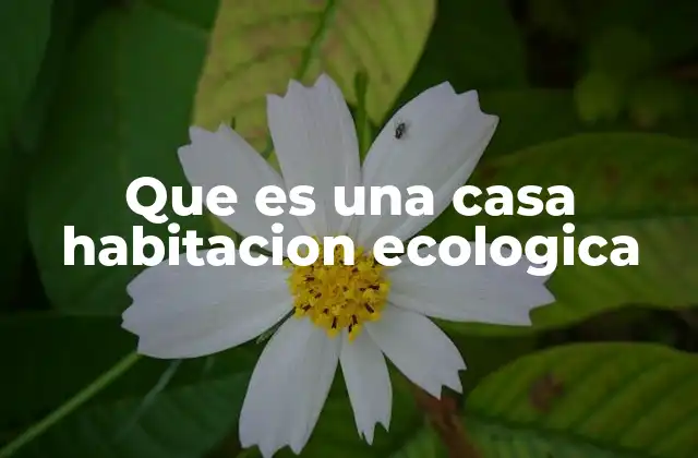 La evolución de la construcción sostenible