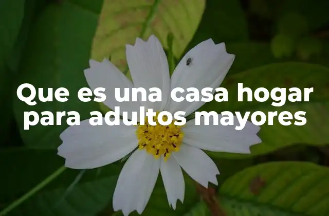 Que es una Casa Hogar para Adultos Mayores