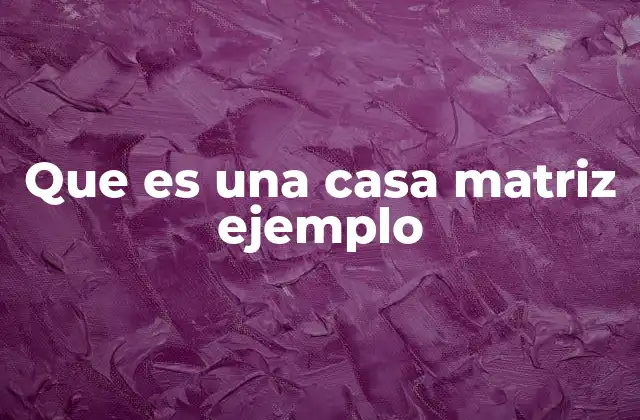 Que es una Casa Matriz Ejemplo