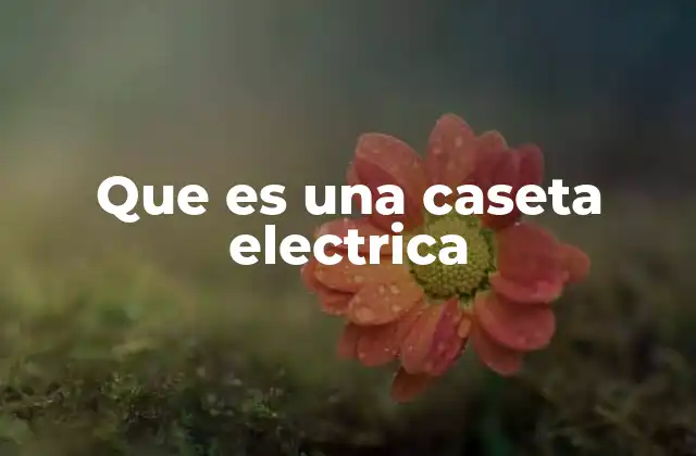 Que es una Caseta Electrica