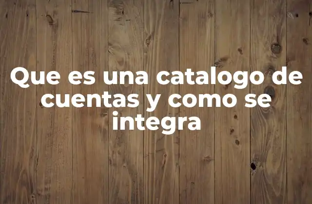 Que es una Catalogo de Cuentas y como Se Integra