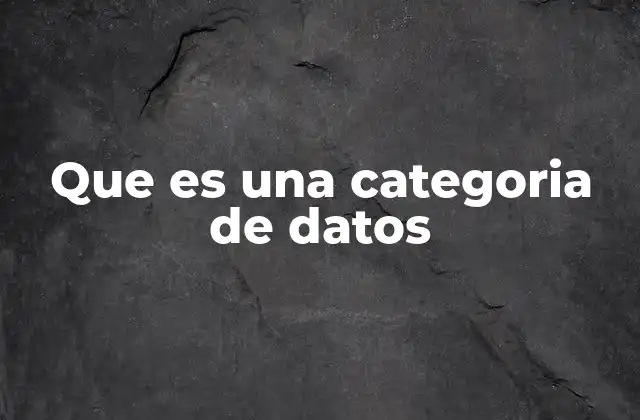 Que es una Categoria de Datos