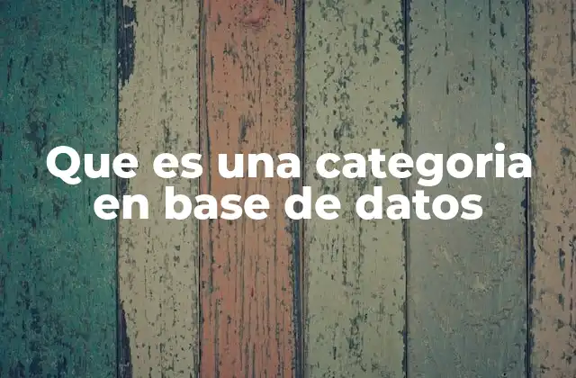 Que es una Categoria en Base de Datos