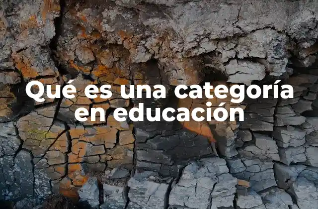 Qué es una Categoría en Educación