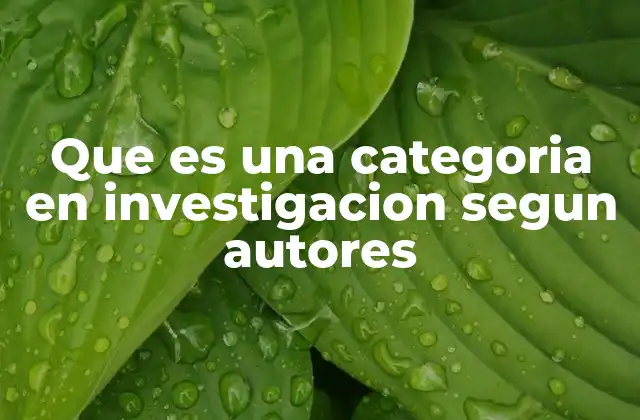 Que es una Categoria en Investigacion Segun Autores