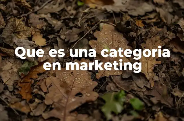Que es una Categoria en Marketing