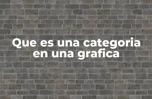 Que es una Categoria en una Grafica