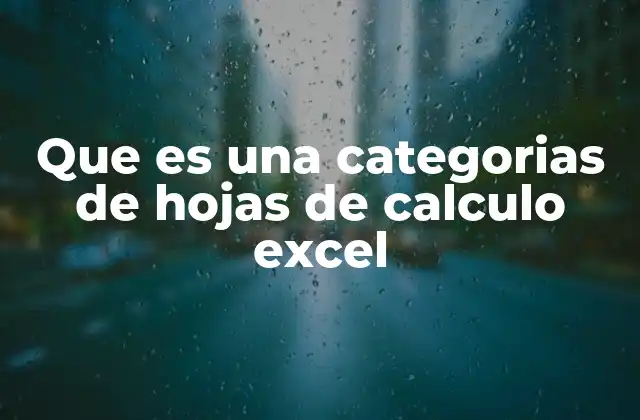 Que es una Categorias de Hojas de Calculo Excel