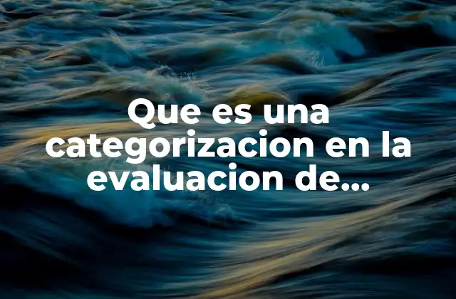Que es una Categorizacion en la Evaluacion de Desempeño