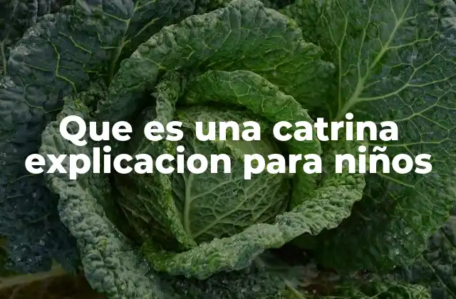 Que es una Catrina Explicacion para Niños