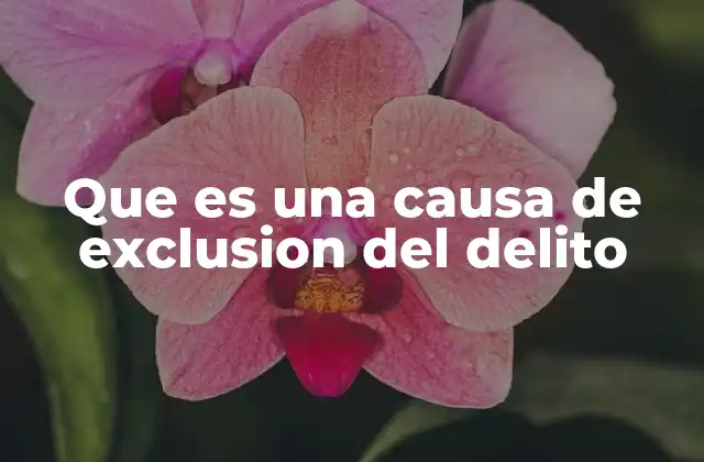 Que es una Causa de Exclusion Del Delito