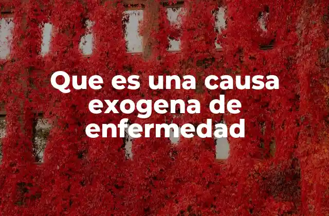 Que es una Causa Exogena de Enfermedad 2 Factores externos que influyen en la salud