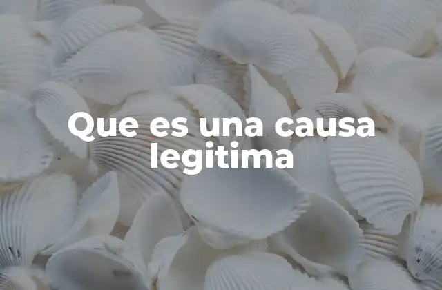 Que es una Causa Legitima